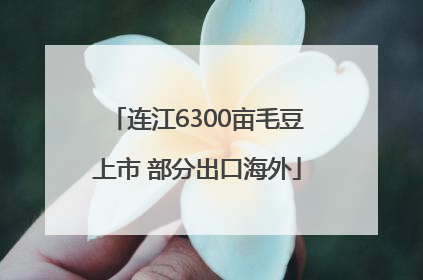 连江6300亩毛豆上市 部分出口海外