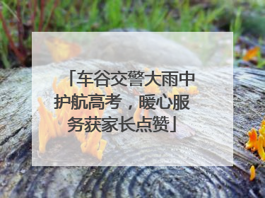车谷交警大雨中护航高考，暖心服务获家长点赞