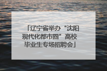 辽宁省举办“沈阳现代化都市圈”高校毕业生专场招聘会