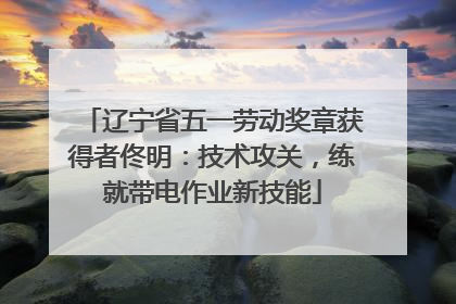 辽宁省五一劳动奖章获得者佟明：技术攻关，练就带电作业新技能