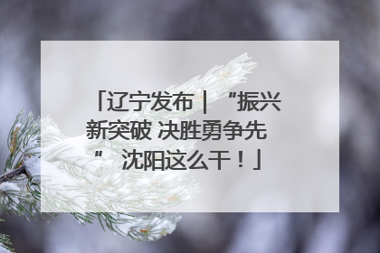 辽宁发布｜“振兴新突破 决胜勇争先” 沈阳这么干！