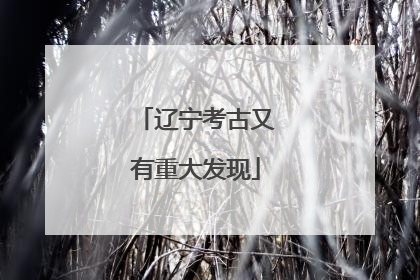 辽宁考古又有重大发现