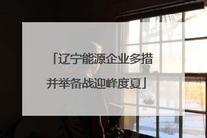 辽宁能源企业多措并举备战迎峰度夏