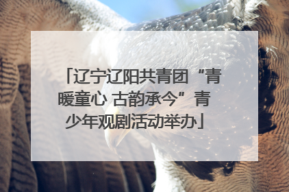 辽宁辽阳共青团“青暖童心 古韵承今”青少年观剧活动举办
