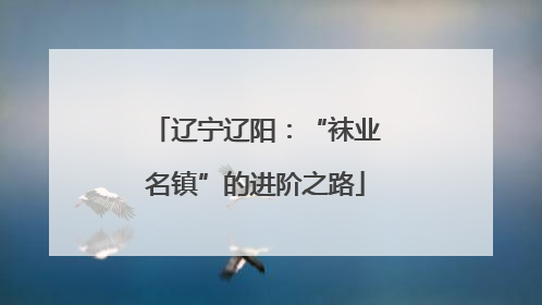 辽宁辽阳：“袜业名镇”的进阶之路