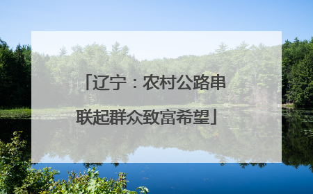 辽宁：农村公路串联起群众致富希望