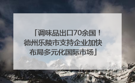 调味品出口70余国！德州乐陵市支持企业加快布局多元化国际市场