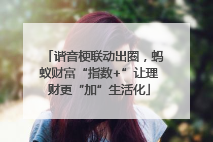 谐音梗联动出圈，蚂蚁财富“指数+”让理财更“加”生活化