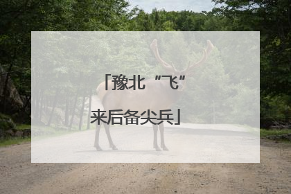 豫北“飞”来后备尖兵