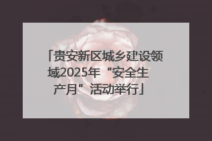 贵安新区城乡建设领域2025年“安全生产月”活动举行