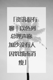 资讯很有聊｜以色列总理声称 加沙没有人因饥饿而消瘦