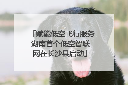 赋能低空飞行服务 湖南首个低空智联网在长沙县启动