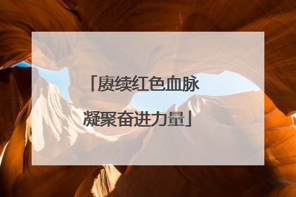 赓续红色血脉 凝聚奋进力量