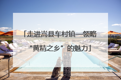 走进嵩县车村镇—领略“黄精之乡”的魅力