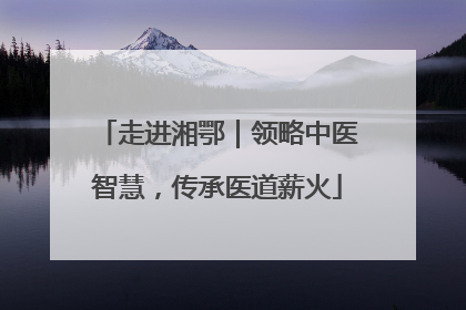 走进湘鄂｜领略中医智慧，传承医道薪火
