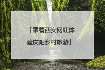 跟着西安网红体验庆阳乡村旅游