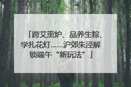 跨艾熏炉、品养生粽、学扎花灯……沪郊朱泾解锁端午“新玩法”