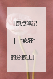 蹲点笔记｜“疯狂”的分拣工