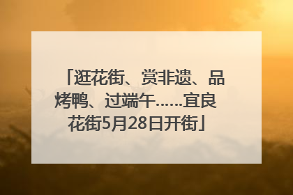 逛花街、赏非遗、品烤鸭、过端午……宜良花街5月28日开街