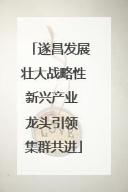 遂昌发展壮大战略性新兴产业 龙头引领 集群共进