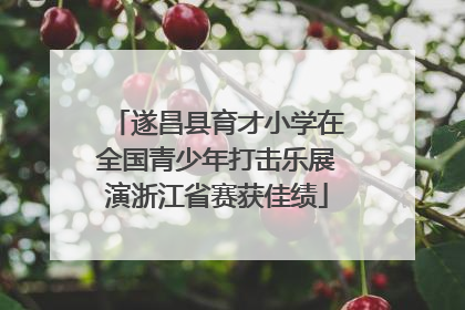 遂昌县育才小学在全国青少年打击乐展演浙江省赛获佳绩