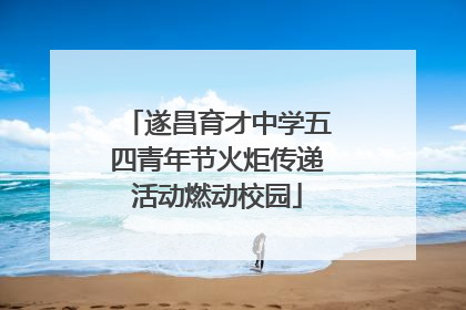 遂昌育才中学五四青年节火炬传递活动燃动校园