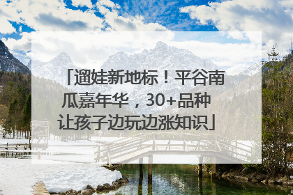 遛娃新地标！平谷南瓜嘉年华，30+品种让孩子边玩边涨知识