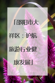 邵阳市大祥区：护航旅游行业健康发展