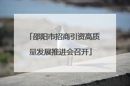 邵阳市招商引资高质量发展推进会召开