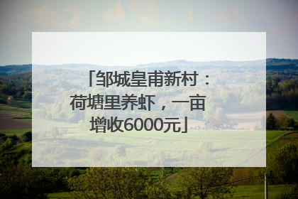 邹城皇甫新村：荷塘里养虾，一亩增收6000元