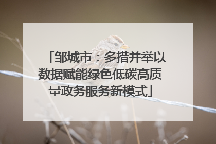 邹城市：多措并举以数据赋能绿色低碳高质量政务服务新模式