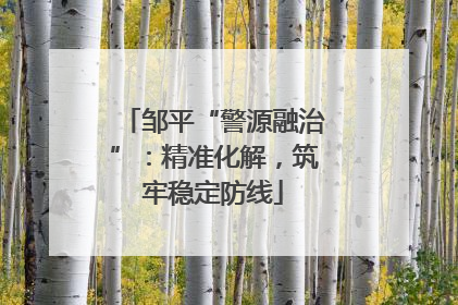邹平“警源融治”：精准化解，筑牢稳定防线
