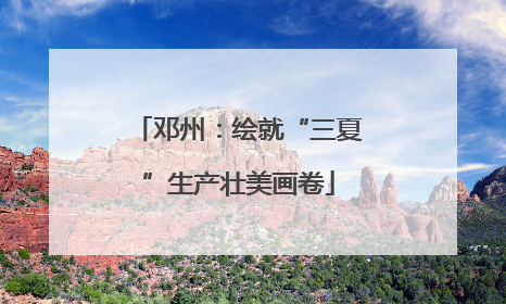 邓州：绘就“三夏”生产壮美画卷
