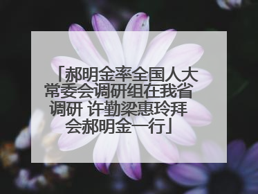 郝明金率全国人大常委会调研组在我省调研 许勤梁惠玲拜会郝明金一行