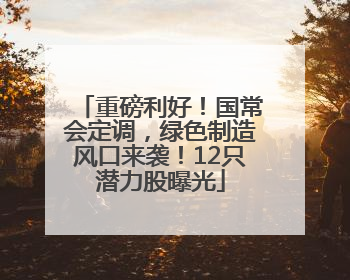 重磅利好！国常会定调，绿色制造风口来袭！12只潜力股曝光