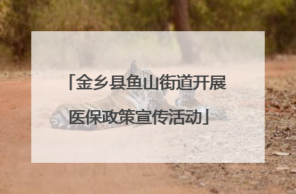 金乡县鱼山街道开展医保政策宣传活动