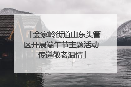 金家岭街道山东头管区开展端午节主题活动 传递敬老温情