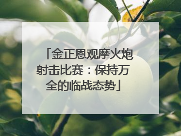 金正恩观摩火炮射击比赛：保持万全的临战态势