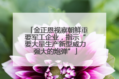 金正恩视察朝鲜重要军工企业，指示“要大量生产新型威力强大的炮弹”