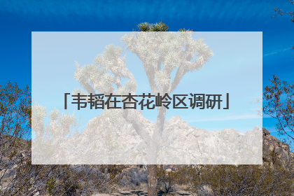 韦韬在杏花岭区调研