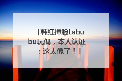 韩红撞脸Labubu玩偶，本人认证：这太像了！