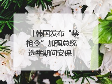 韩国发布“禁枪令”加强总统选举期间安保