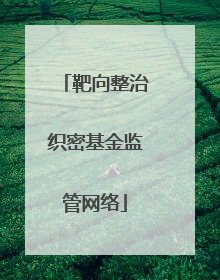 靶向整治织密基金监管网络