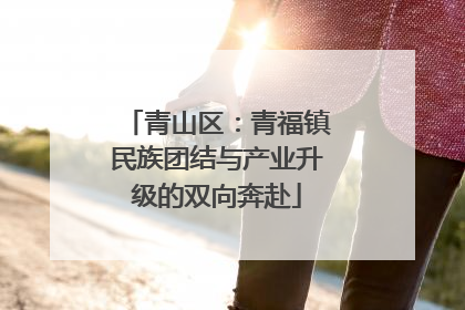 青山区：青福镇民族团结与产业升级的双向奔赴