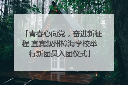 青春心向党，奋进新征程 宜宾叙州樟海学校举行新团员入团仪式