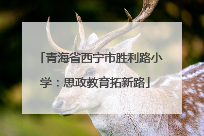 青海省西宁市胜利路小学：思政教育拓新路