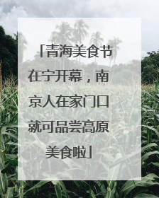 青海美食节在宁开幕，南京人在家门口就可品尝高原美食啦
