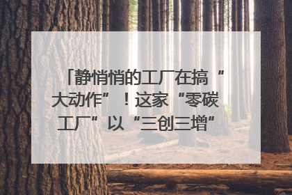 静悄悄的工厂在搞“大动作”！这家“零碳工厂”以“三创三增”探索共富新路径｜网络名人四川行