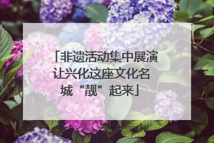 非遗活动集中展演 让兴化这座文化名城“靓”起来