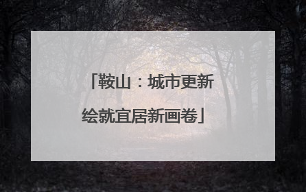 鞍山：城市更新绘就宜居新画卷